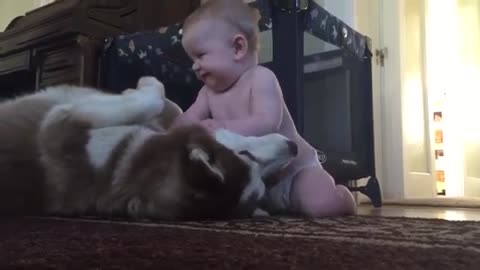 Baby and dog love show video
