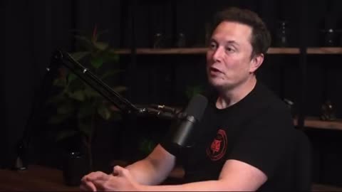 Elon Musk: If AI is programmed to prioritize diverse outputs, Whites could face extermination