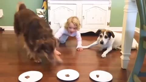 2 Dogs & 1 Kid funny video. Hahahaha very funny