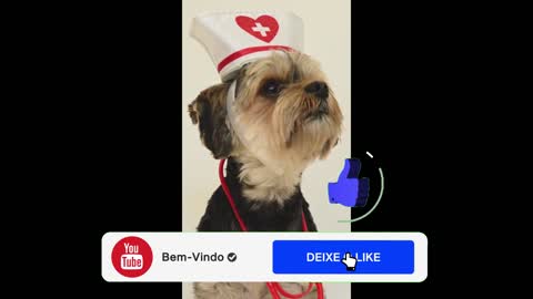 FUNNY DOG DRESSED AS A DOCTOR!