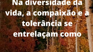 #compaixãoetolerância