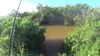 Tarpon on the Fly