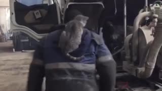 Cat Helps Out in A Car Repair Shop
