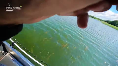 Using giant musky lure trying to catch pike