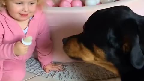 The movement this Rottweiler start singing like her baby sister ❤️