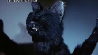 o gato endiabrado pela lasanha #shorts.mp4