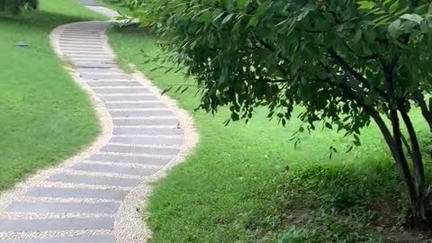 A winding path