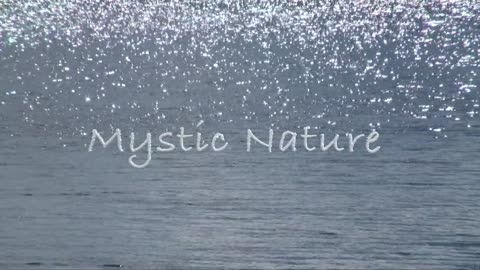 Mystic Nature