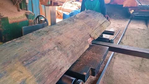 Worth 30 Million! The Giant Meranti Wood Comes From The Forests Of Kalimantan With A Sawmill.