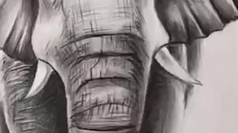 Drawing an elephant