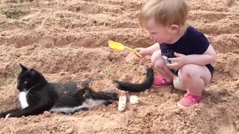 Cute baby and cat compilation