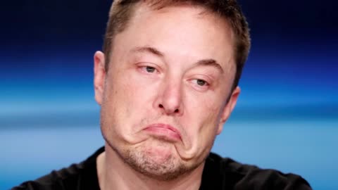 New York Post calls Elon Musk a Total Fraud - research Flat Earth - Mark Sargent ✅