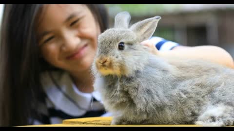 Cute Easter Bunny Rabbit Eating Grass