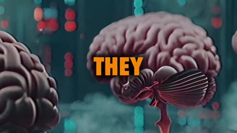 Bio Computer~Runs Off Lab Grown Human Brain!