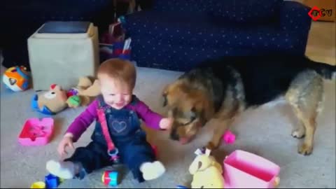 Baby can't stop laughing at home with dog