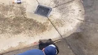 Rescuing an Opossum from Skate Park Bowl
