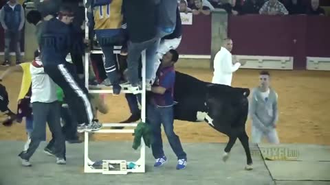 Dangerous Bull Fight Accidents Compilation - Funny People Fail Video Clips