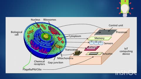 The Internet of Bio Nano Things | Bio Nano Technology