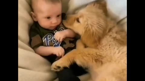 Baby and little pet sleeping in bed 🛏️ || funny video || naughty Dog
