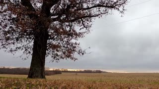 Time Lapse incoming ice storm