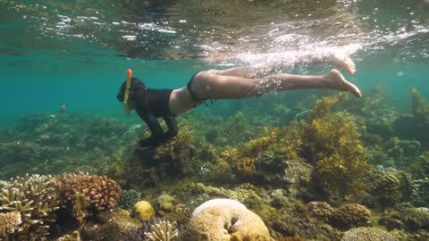 Woman snorkeling in a marine sanctuary. Tropical fish and coloful corals in sea