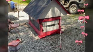 Chicken coup build