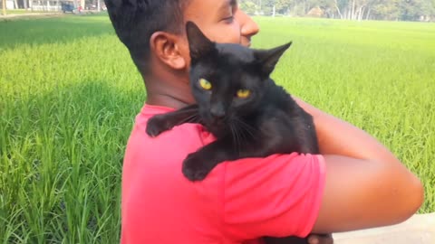 Pet black cat 🐱🐱🐱