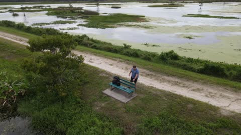 Viaje a Orlando Wetlands reserve
