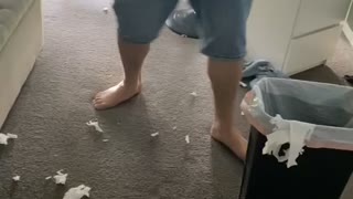 Kitty Has a Turn of Cleaning the House