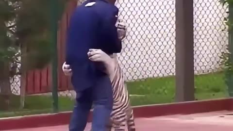 Mike Tyson with his pet tiger