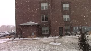 Snowstorm Hits Columbia, Missouri!