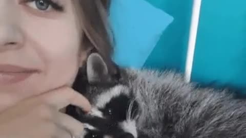 The Snuggle Is Real Between A Girl And A Raccoon