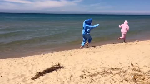 Funny Video Of Sea Beach Shark And Dinosaur