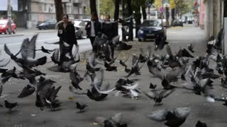 A Herd Of Pigeons Eating Rice Flew Off When People Came Close