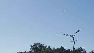 Discovered an Osprey in its best while Kayaking