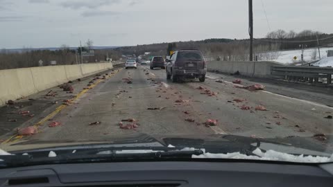 Cow Parts Scattered Across Interstate