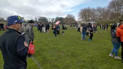 Freedom Gathering at the Auckland Domain - 6th August 2022