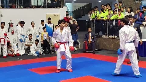 Karate kumite ippon