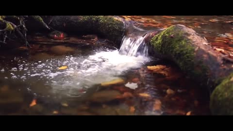 World Natural Phenomena - Pemandangan Alam Cinematic Free Royalty