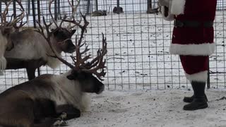 Santa Has Team Meeting About Reindeer Take-Offs