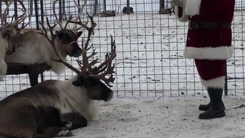 Santa Has Team Meeting About Reindeer Take-Offs