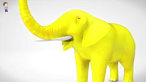 Elephant Vs Ande Katun Video