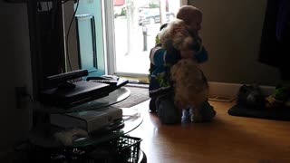 Little Boy Shares Tearful Reunion With Lost Dog