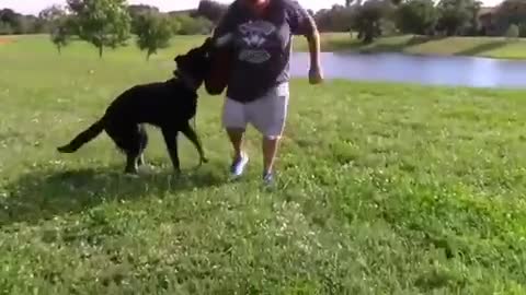 How to make Dog become agressive instantly with few simple tricks