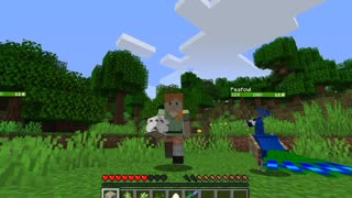 Minecraft 1-1.16.5 A new beginning_9