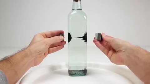 Ferrofluid in a bottle to view Magnetic Fields I Magnetic Games