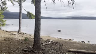 Returning Back to The Cove Near End of 13-Mile Loop – Timothy Lake – Mount Hood – 4K