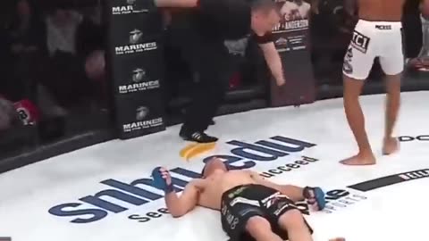 THE BEST KNOCKOUTS EVER IN MMA