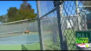 🎃Gleason Tennis & Pickleball Halloween Bash 2023 Recap 🎾👻 Part TWO