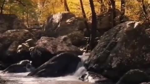 Peace your heart with the sound of a waterfall#nature#shorts_2